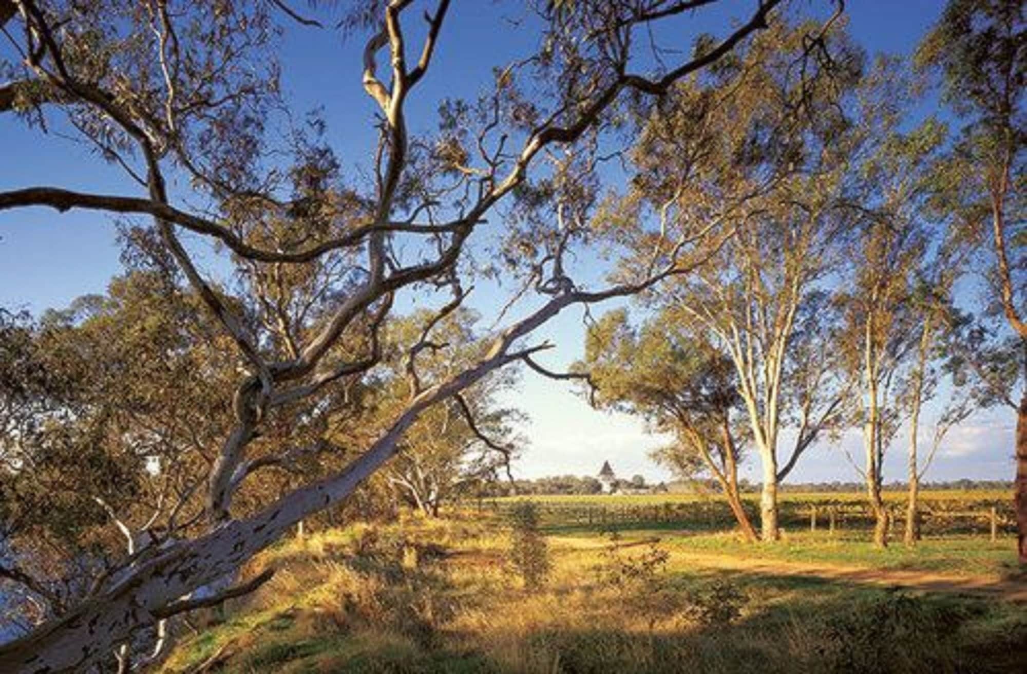 The Mitchelton Hotel Nagambie - Mgallery By Sofitel Eksteriør bilde